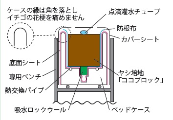 カネコ ココベリーファーム® | カネコ種苗株式会社 | 未来をひらく・・カネコ交配