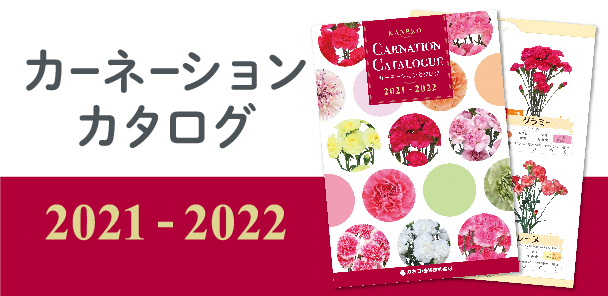 カーネーションカタログ 2021-2022