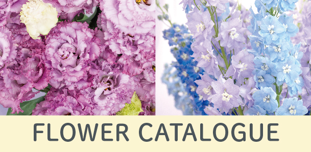 FLOWER CATALOGUE