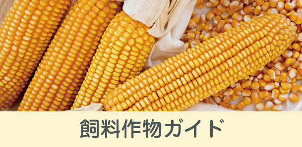 飼料作物ガイド