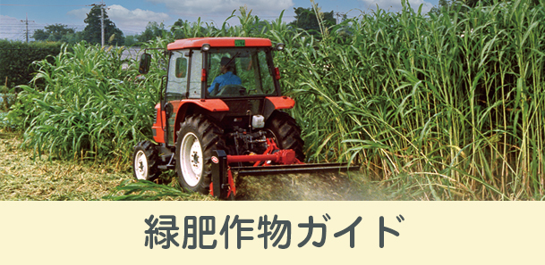 緑肥作物ガイド