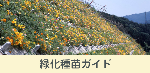緑化種苗ガイド