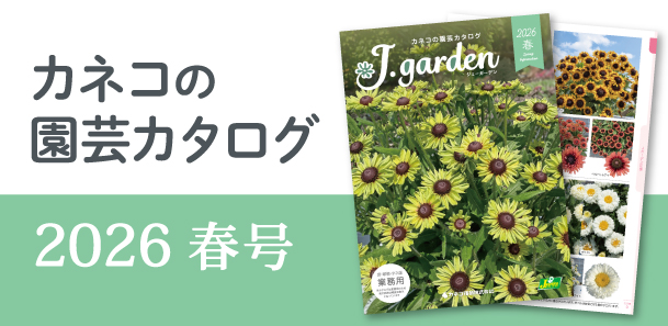 園芸カタログ2026年 春号